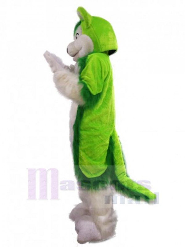 Loup costume de mascotte