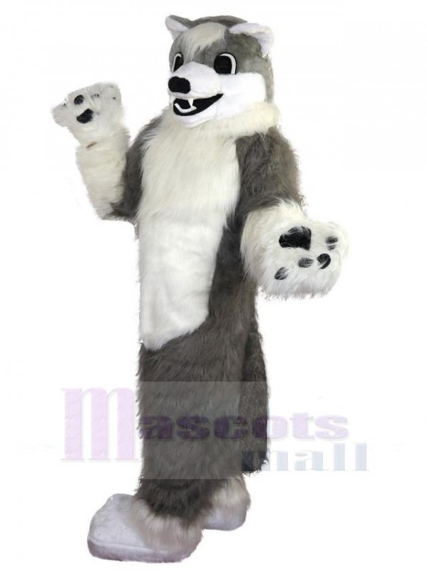 Loup costume de mascotte