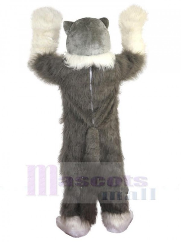 Loup costume de mascotte