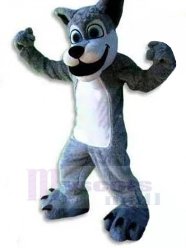 Loup costume de mascotte