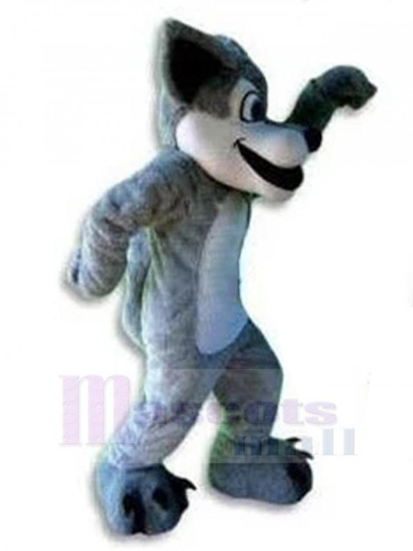 Loup costume de mascotte