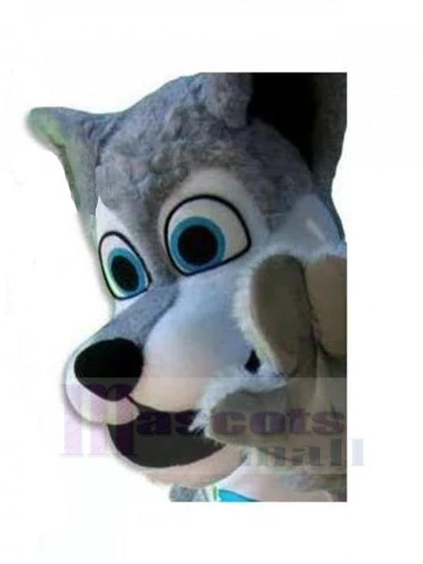 Loup costume de mascotte