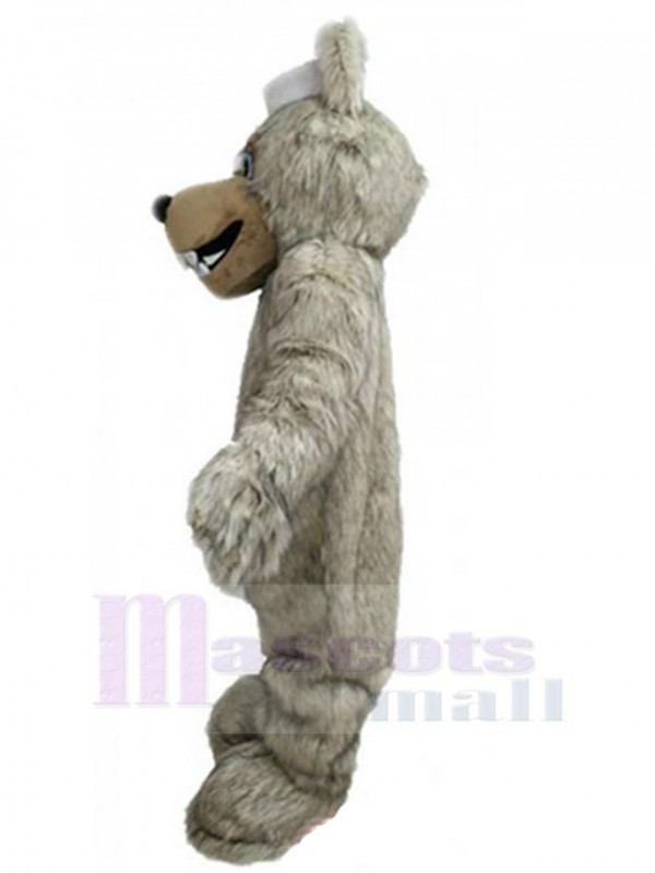 Loup costume de mascotte