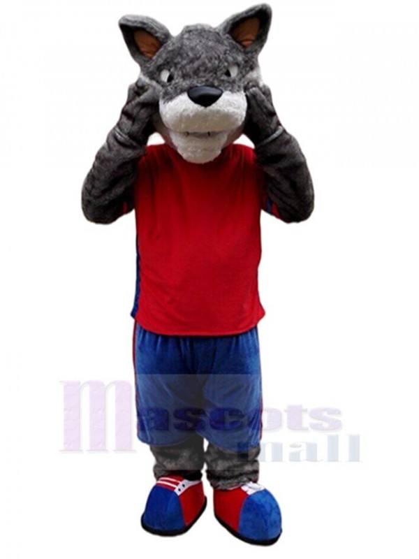 Loup costume de mascotte