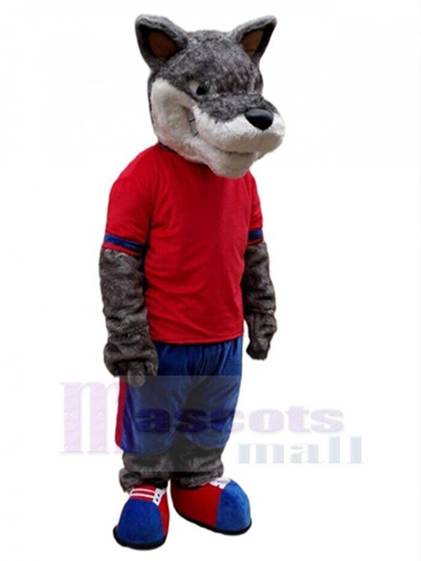 Loup costume de mascotte