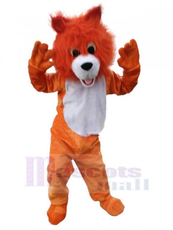Loup costume de mascotte