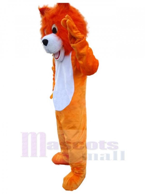 Loup costume de mascotte