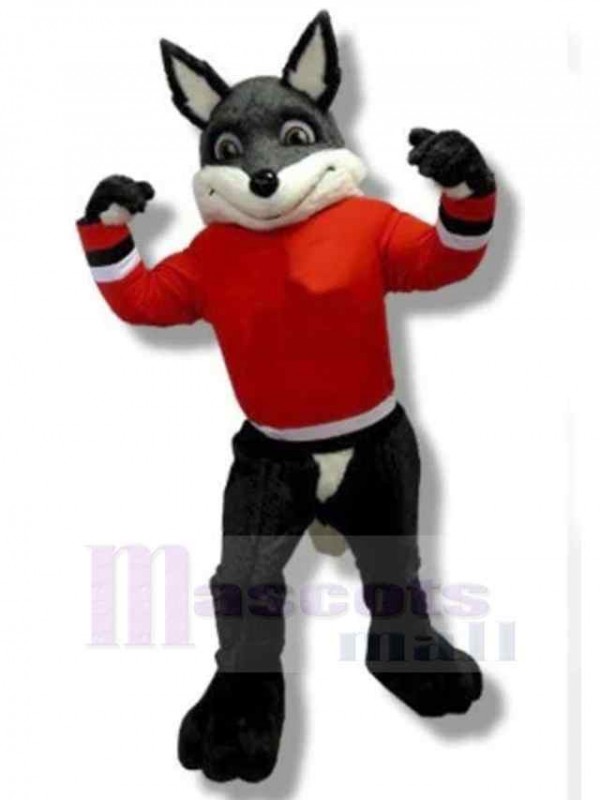 Loup costume de mascotte