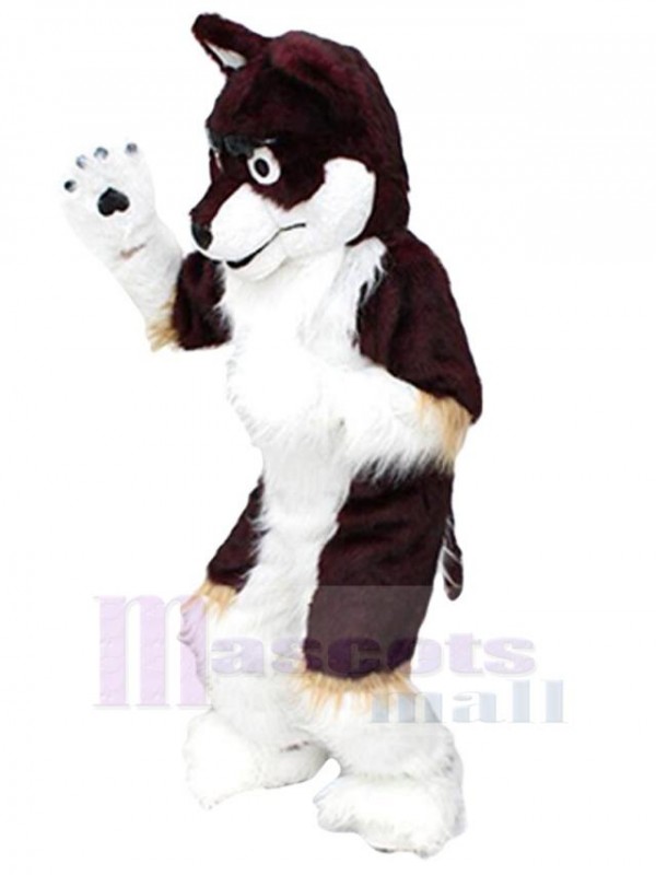 Loup costume de mascotte
