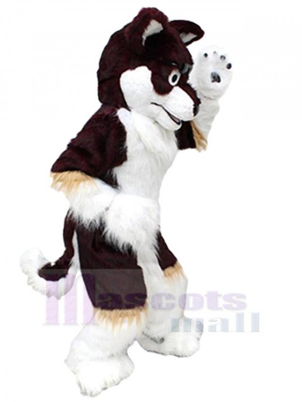 Loup costume de mascotte