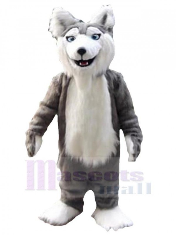 Loup costume de mascotte