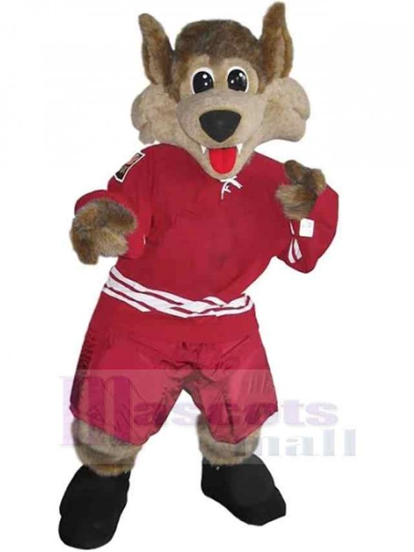 Loup costume de mascotte