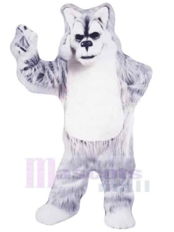 Loup costume de mascotte
