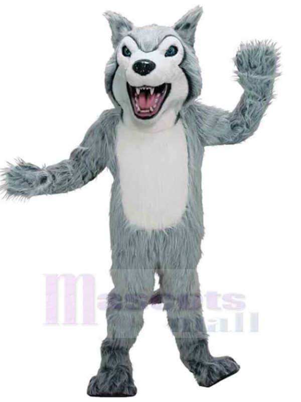 Loup costume de mascotte