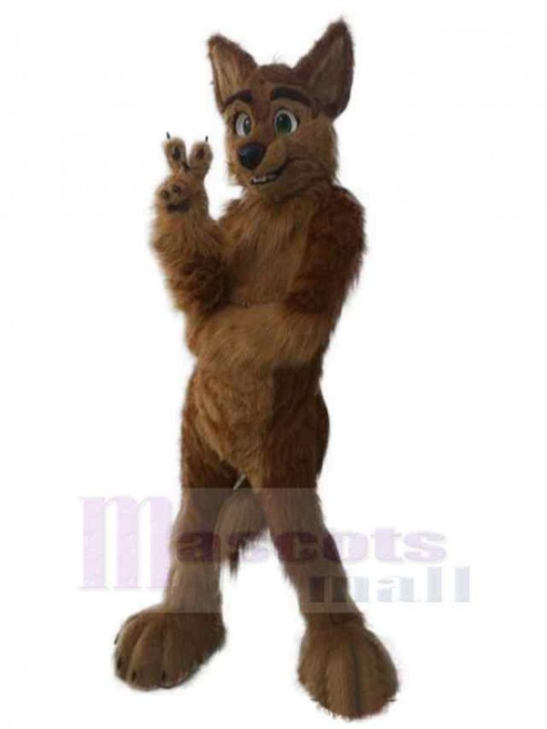 Loup costume de mascotte