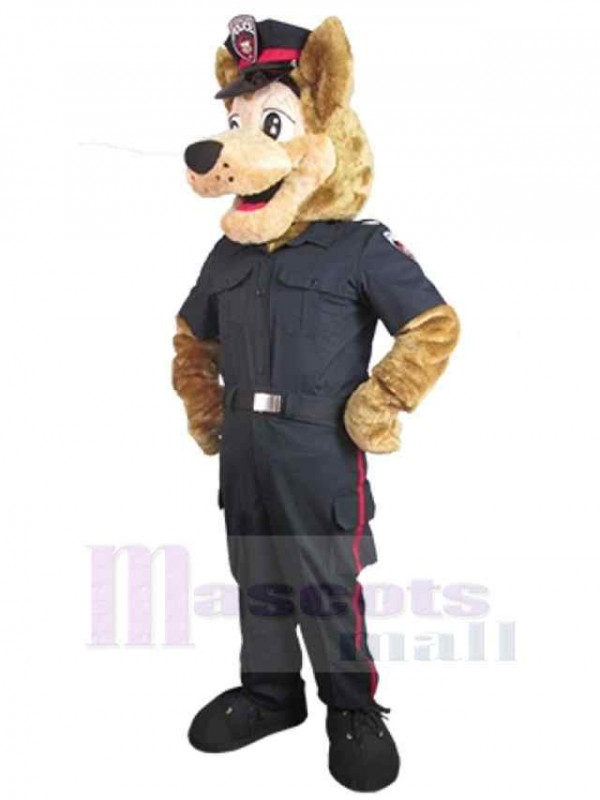 Loup costume de mascotte