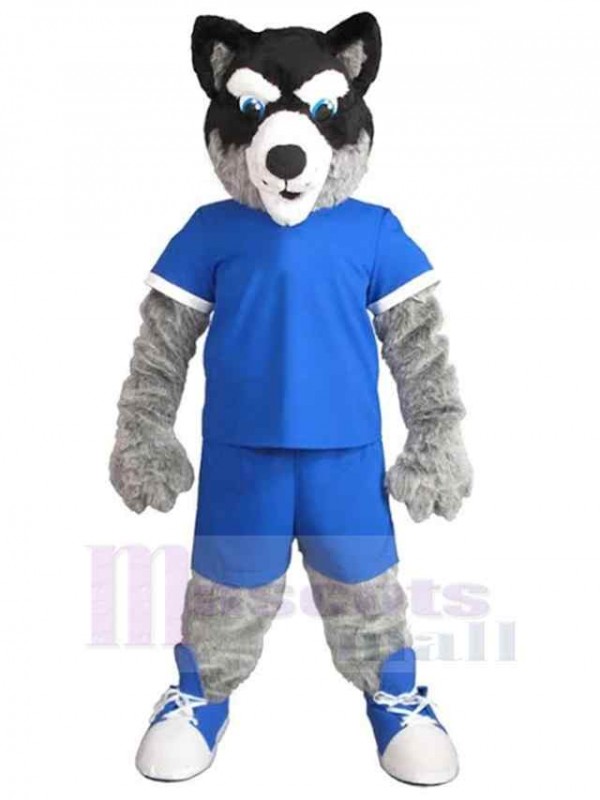Loup costume de mascotte