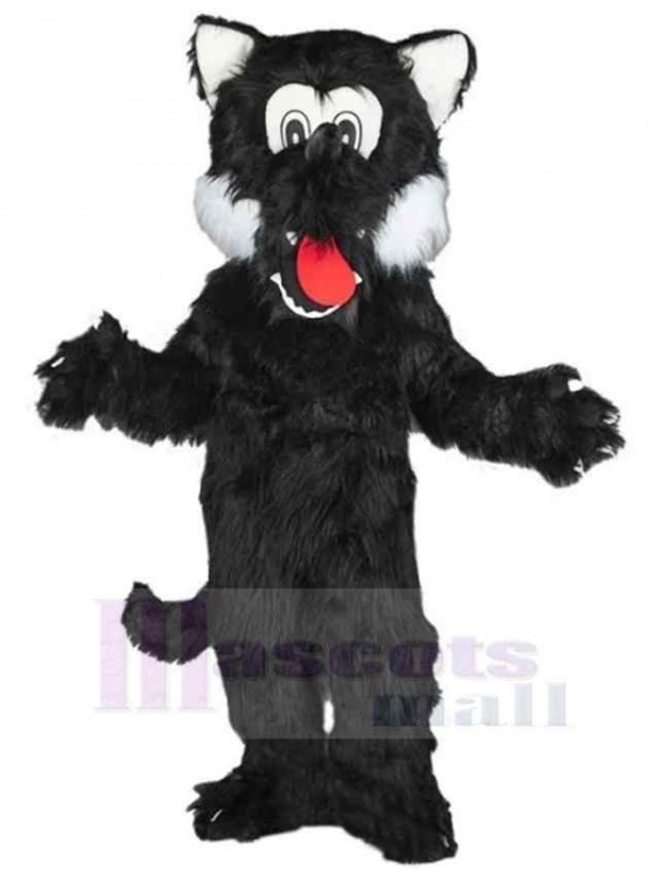 Loup costume de mascotte