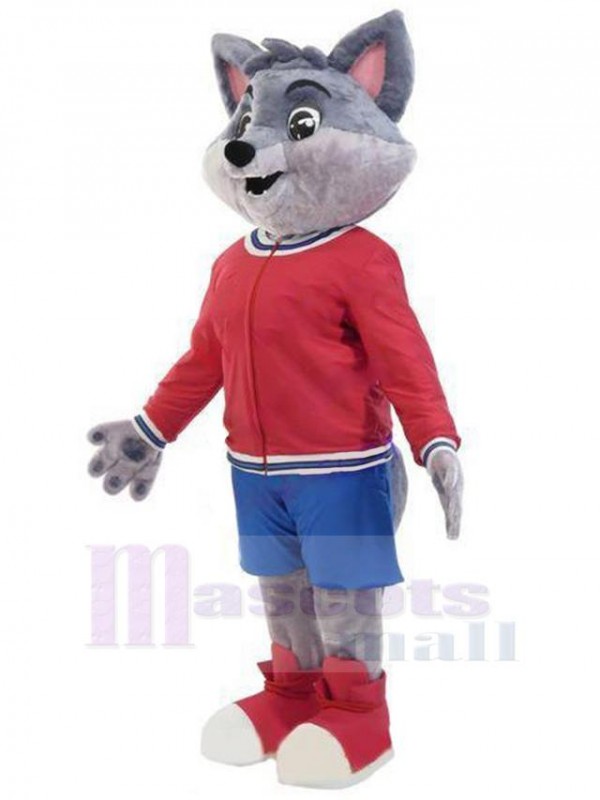 Loup costume de mascotte