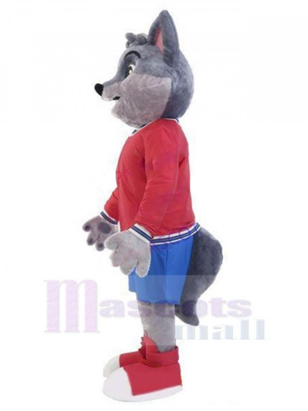 Loup costume de mascotte