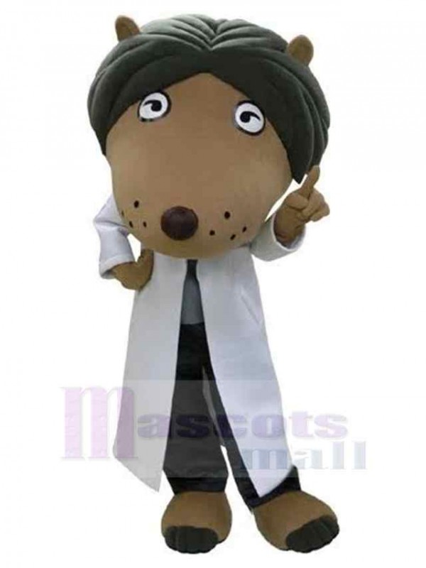 Loup costume de mascotte