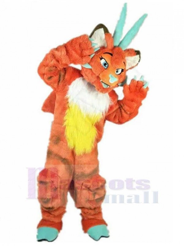 Loup costume de mascotte