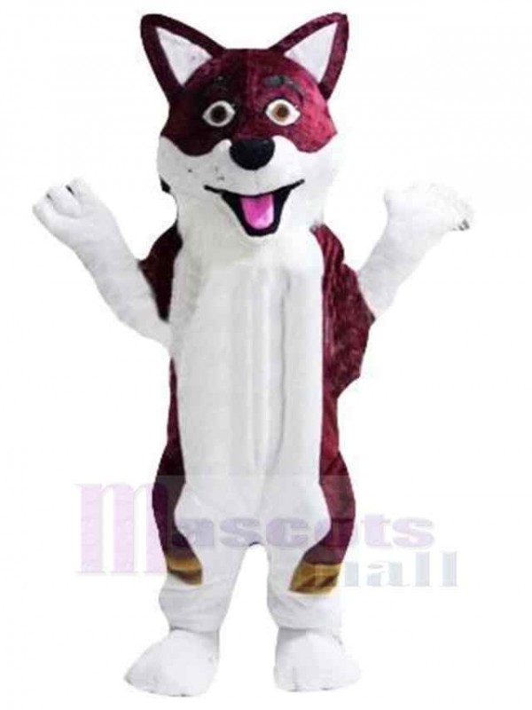Loup costume de mascotte