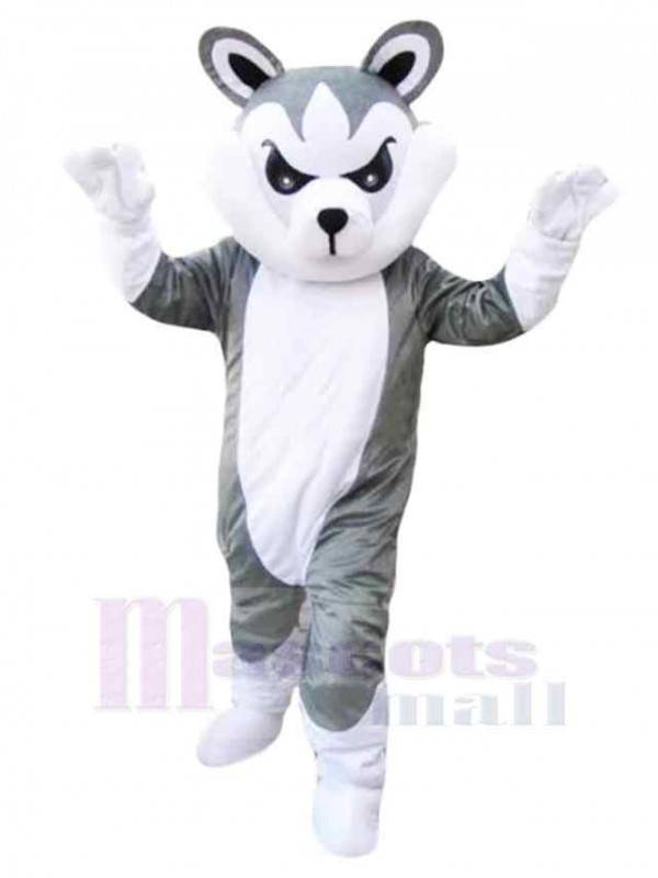 Loup costume de mascotte