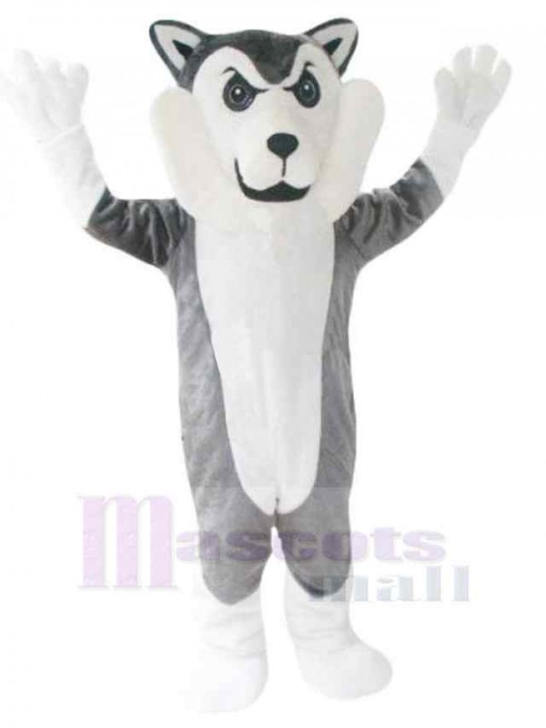 Loup costume de mascotte