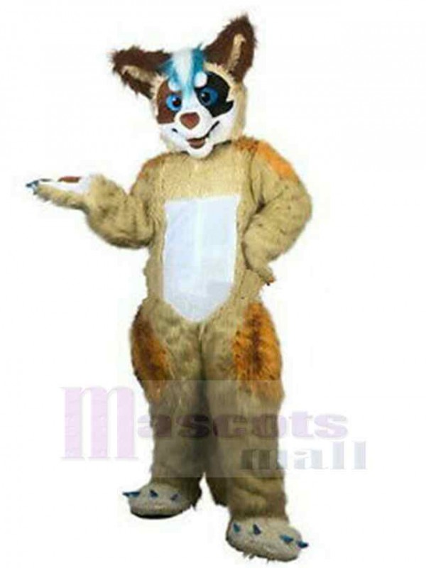 Loup costume de mascotte