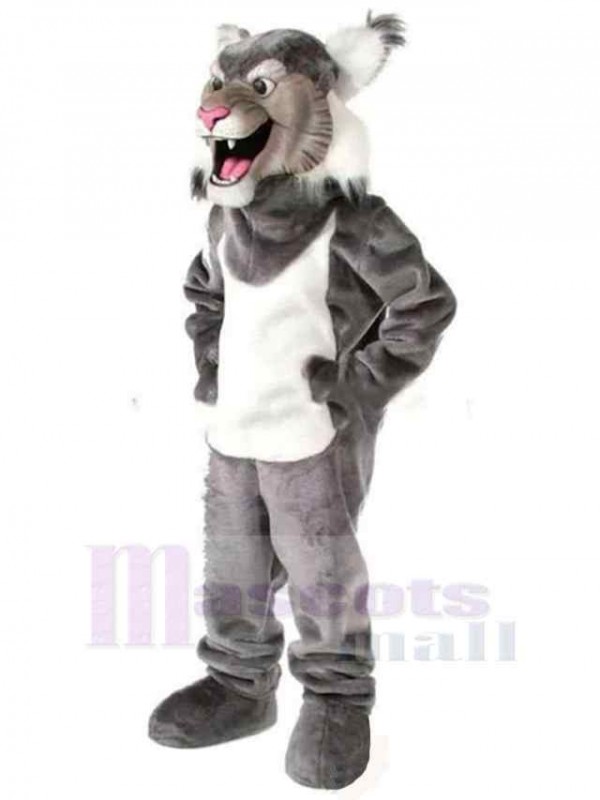 Loup costume de mascotte