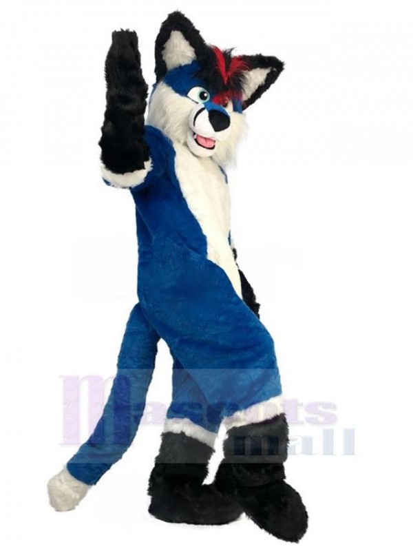 Loup costume de mascotte