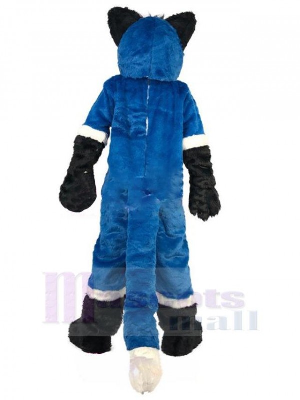 Loup costume de mascotte