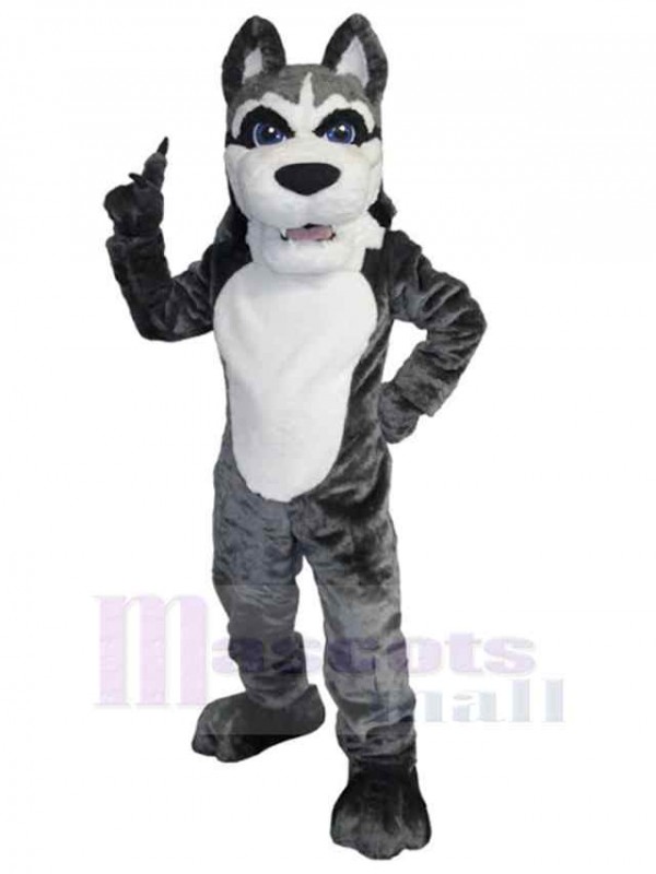 Loup costume de mascotte