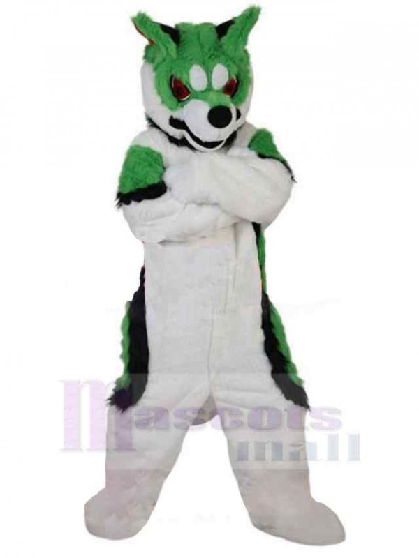 Loup costume de mascotte