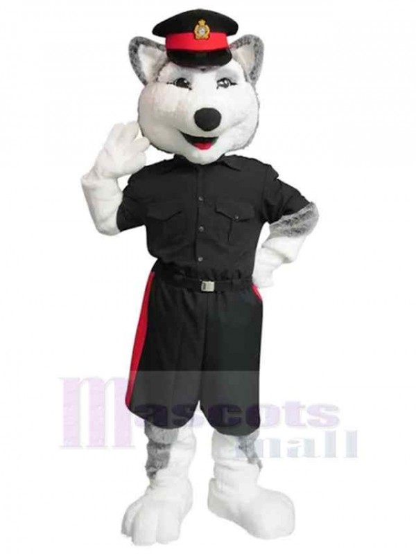 Loup costume de mascotte