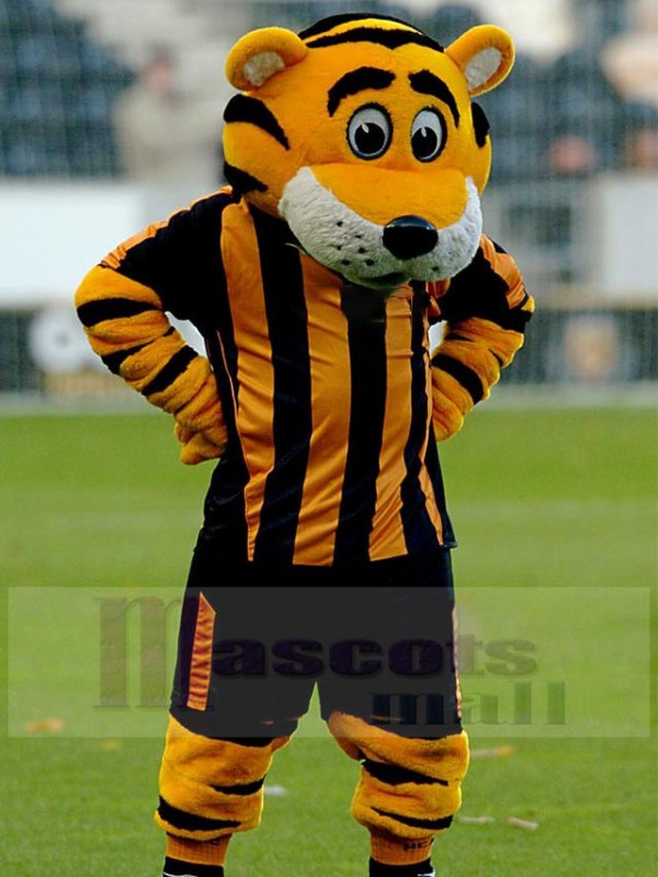Tigre costume de mascotte