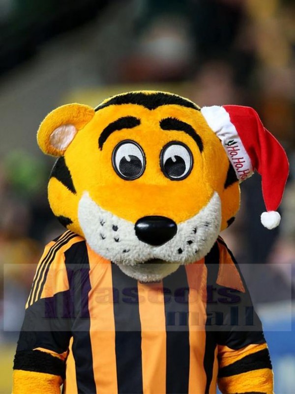 Tigre costume de mascotte