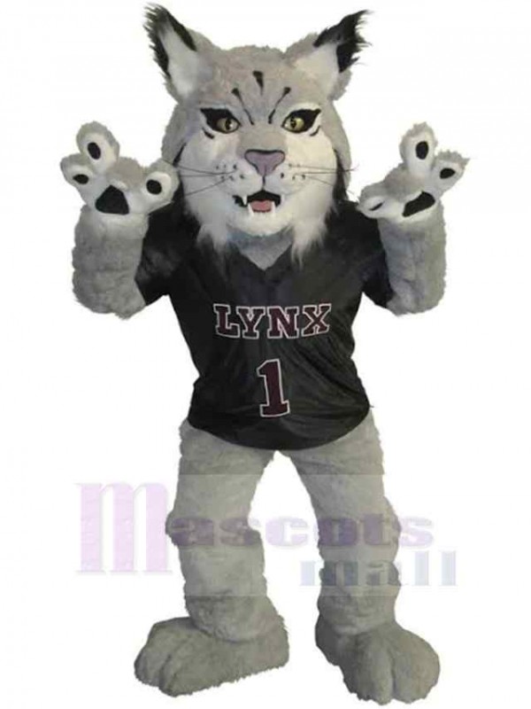 Tigre costume de mascotte