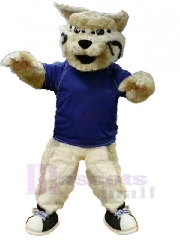 Tigre costume de mascotte