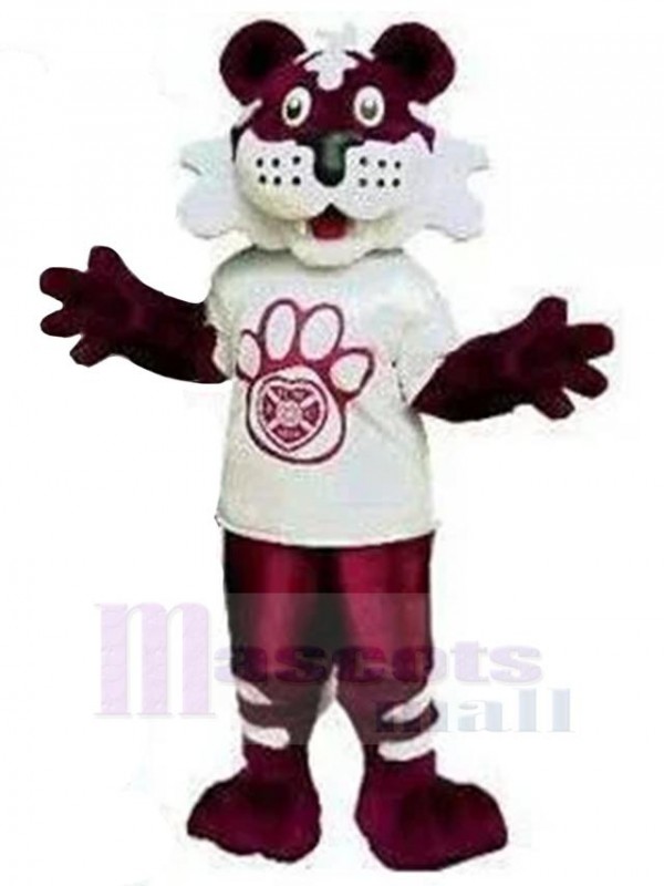 Tigre costume de mascotte