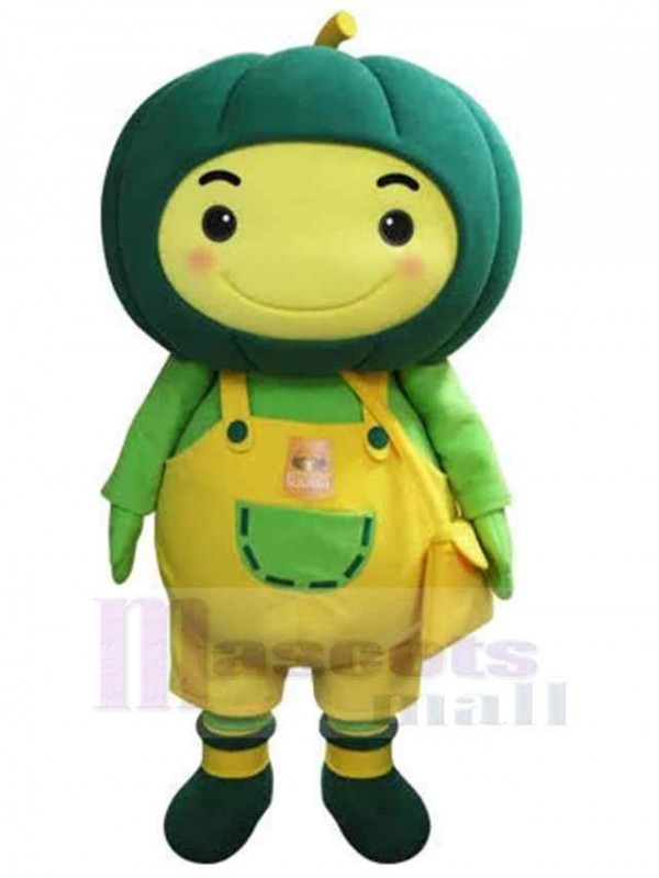 Bonhomme de neige costume de mascotte