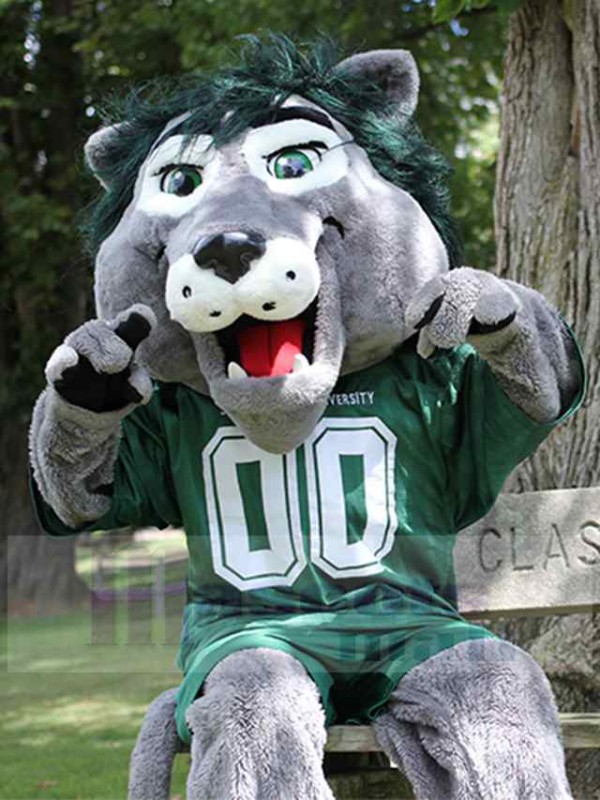 Lion costume de mascotte