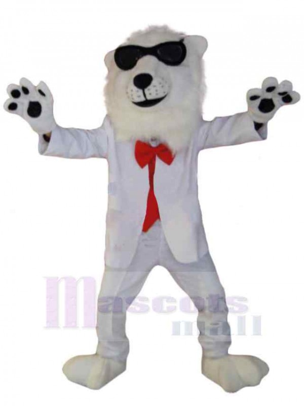 Lion costume de mascotte