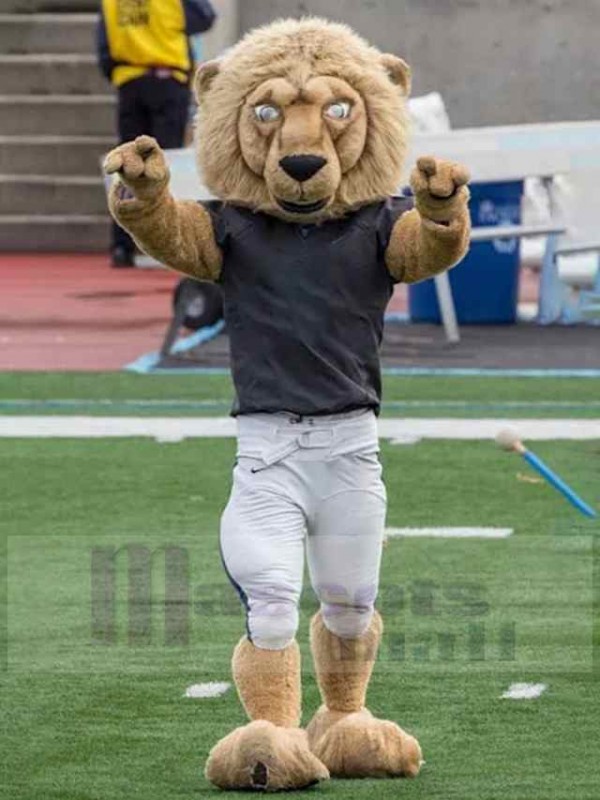 Lion costume de mascotte