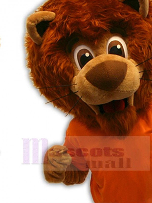 Lion costume de mascotte
