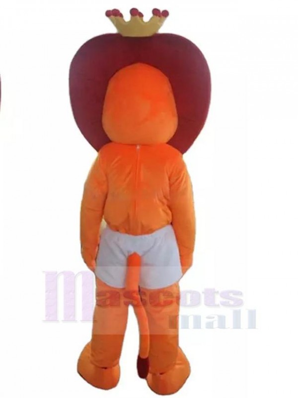 Lion costume de mascotte