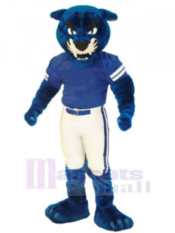 Panthère costume de mascotte