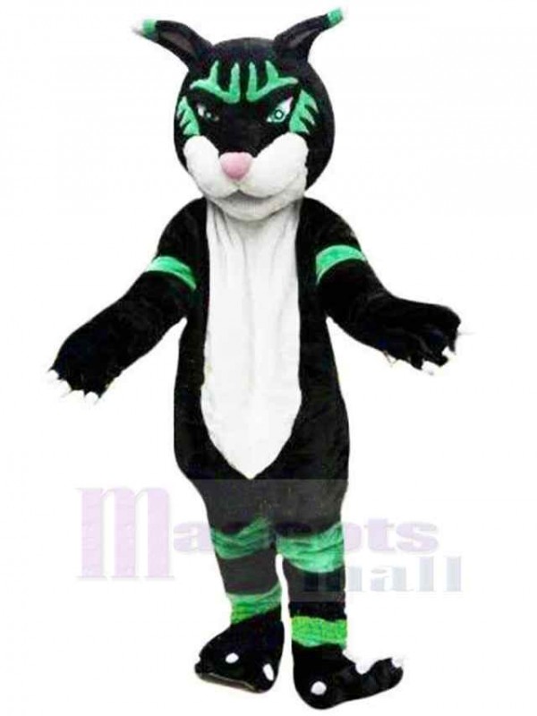 Panthère costume de mascotte