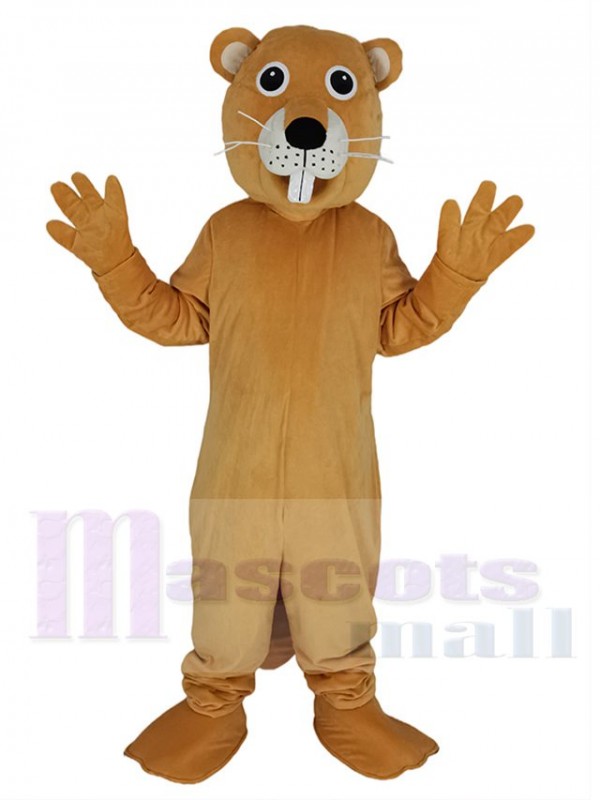 Castor costume de mascotte
